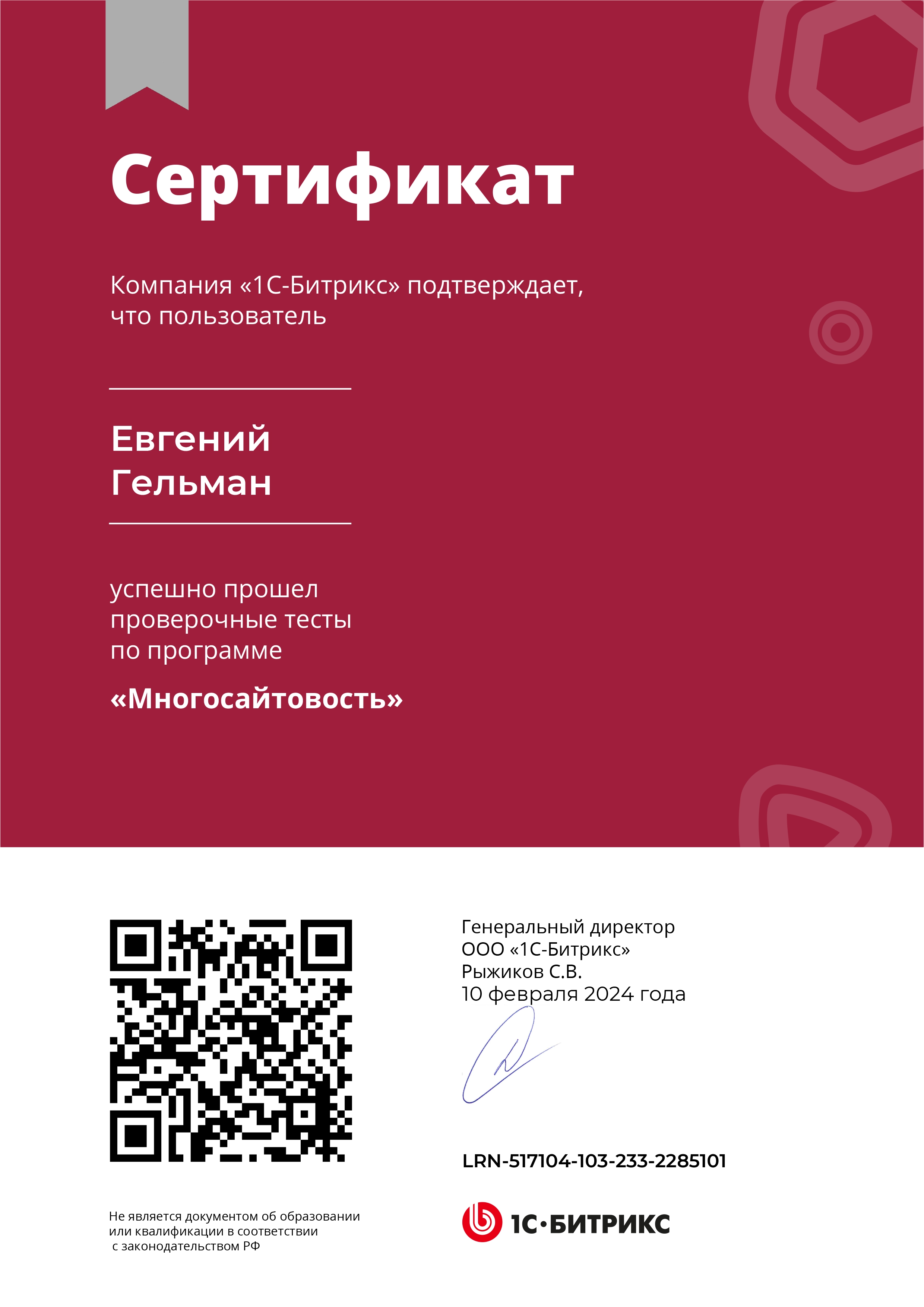 Многосайтовость